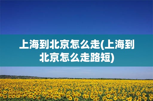 上海到北京怎么走(上海到北京怎么走路短)
