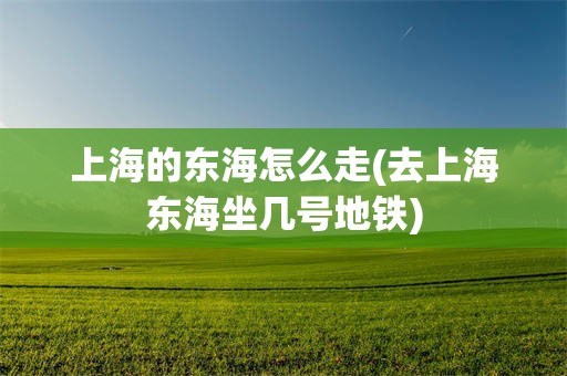 上海的东海怎么走(去上海东海坐几号地铁)