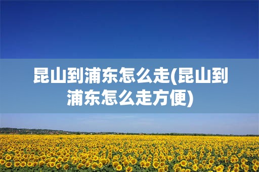 昆山到浦东怎么走(昆山到浦东怎么走方便)