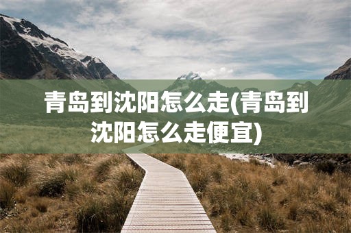 青岛到沈阳怎么走(青岛到沈阳怎么走便宜)