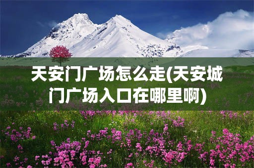 天安门广场怎么走(天安城门广场入口在哪里啊)