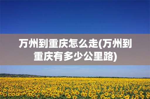 万州到重庆怎么走(万州到重庆有多少公里路)