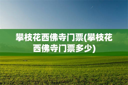 攀枝花西佛寺门票(攀枝花西佛寺门票多少)