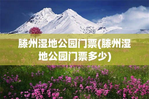 滕州湿地公园门票(滕州湿地公园门票多少)