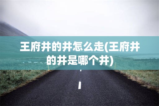 王府井的井怎么走(王府井的井是哪个井)