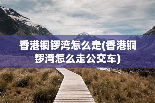 香港铜锣湾怎么走(香港铜锣湾怎么走公交车)