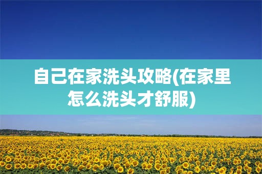 自己在家洗头攻略(在家里怎么洗头才舒服)