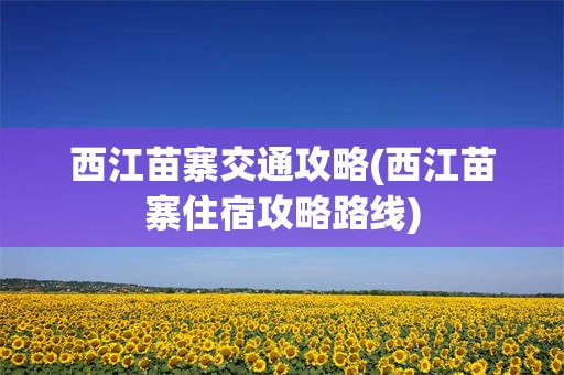 西江苗寨交通攻略(西江苗寨住宿攻略路线)