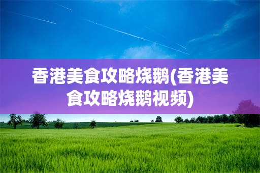 香港美食攻略烧鹅(香港美食攻略烧鹅视频)