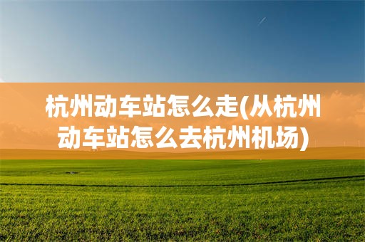 杭州动车站怎么走(从杭州动车站怎么去杭州机场)