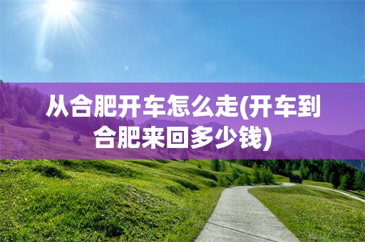 从合肥开车怎么走(开车到合肥来回多少钱)