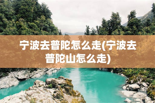 宁波去普陀怎么走(宁波去普陀山怎么走)