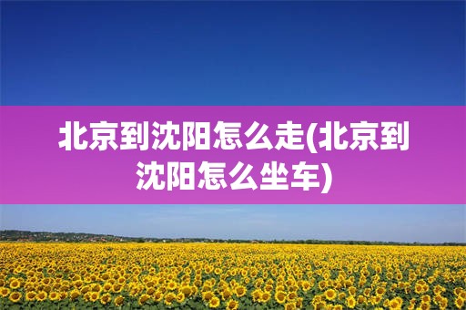 北京到沈阳怎么走(北京到沈阳怎么坐车)