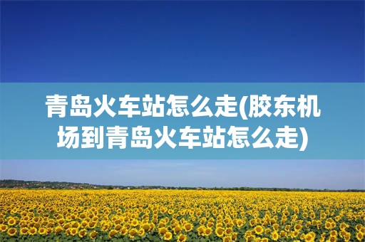 青岛火车站怎么走(胶东机场到青岛火车站怎么走)