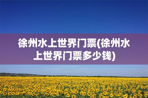 徐州水上世界门票(徐州水上世界门票多少钱)