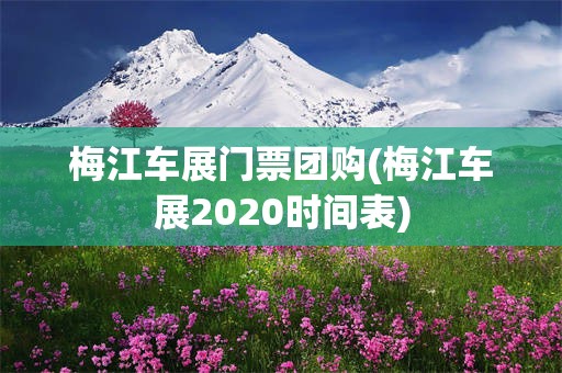 梅江车展门票团购(梅江车展2020时间表)