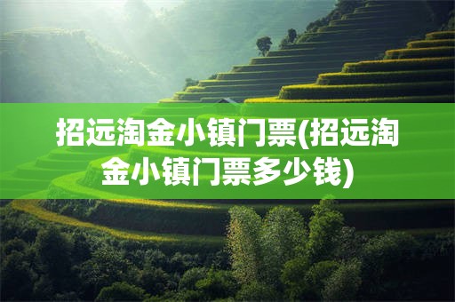 招远淘金小镇门票(招远淘金小镇门票多少钱)