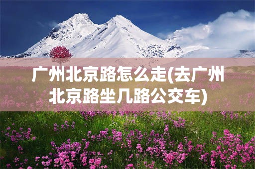 广州北京路怎么走(去广州北京路坐几路公交车)