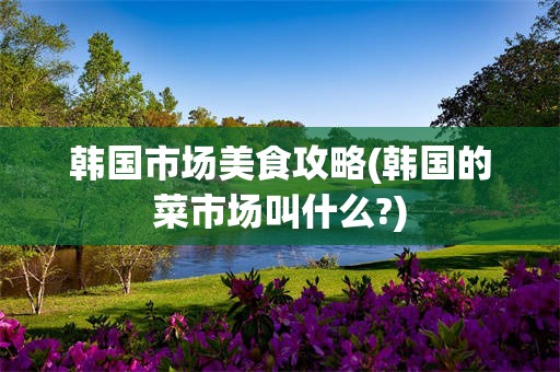 韩国市场美食攻略(韩国的菜市场叫什么?)