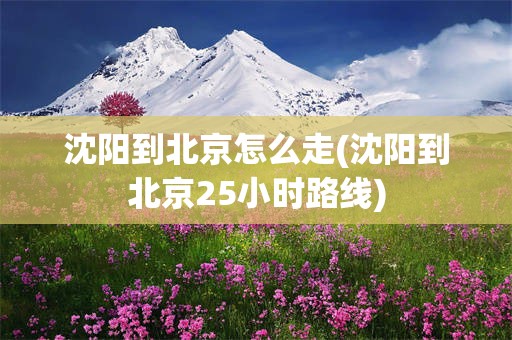 沈阳到北京怎么走(沈阳到北京25小时路线)