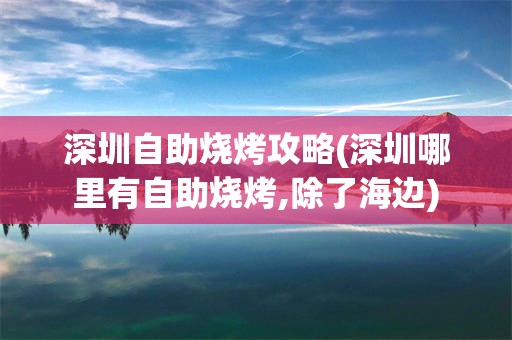 深圳自助烧烤攻略(深圳哪里有自助烧烤,除了海边)