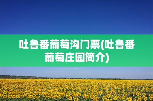 吐鲁番葡萄沟门票(吐鲁番葡萄庄园简介)