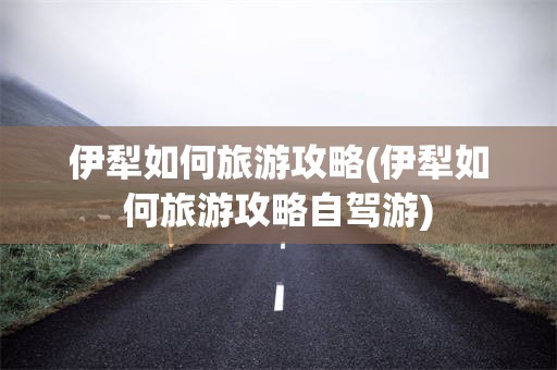 伊犁如何旅游攻略(伊犁如何旅游攻略自驾游)