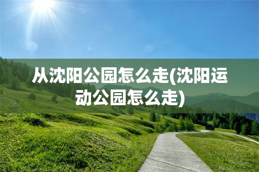 从沈阳公园怎么走(沈阳运动公园怎么走)