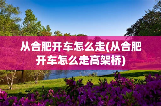 从合肥开车怎么走(从合肥开车怎么走高架桥)