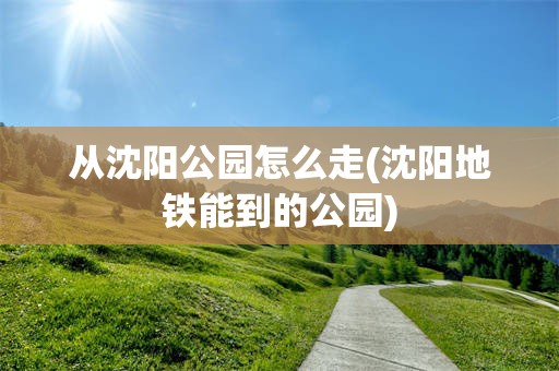 从沈阳公园怎么走(沈阳地铁能到的公园)