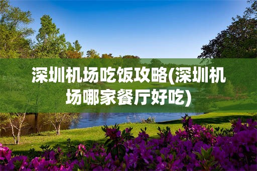 深圳机场吃饭攻略(深圳机场哪家餐厅好吃)
