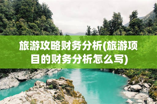 旅游攻略财务分析(旅游项目的财务分析怎么写)
