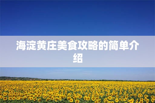 海淀黄庄美食攻略的简单介绍