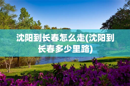 沈阳到长春怎么走(沈阳到长春多少里路)