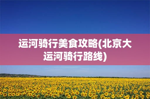 运河骑行美食攻略(北京大运河骑行路线)