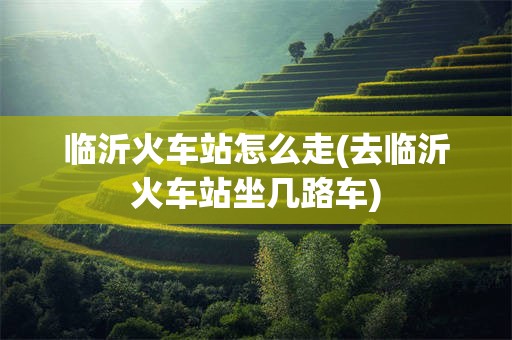 临沂火车站怎么走(去临沂火车站坐几路车)