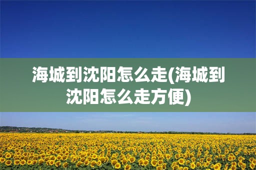 海城到沈阳怎么走(海城到沈阳怎么走方便)