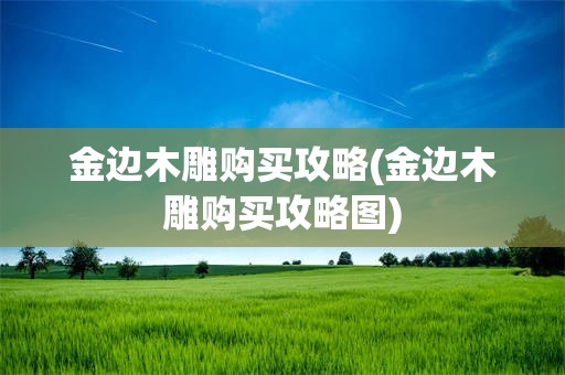 金边木雕购买攻略(金边木雕购买攻略图)