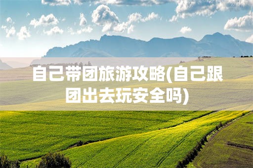 自己带团旅游攻略(自己跟团出去玩安全吗)