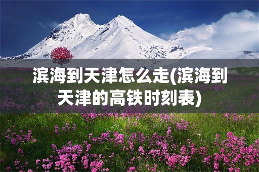 滨海到天津怎么走(滨海到天津的高铁时刻表)