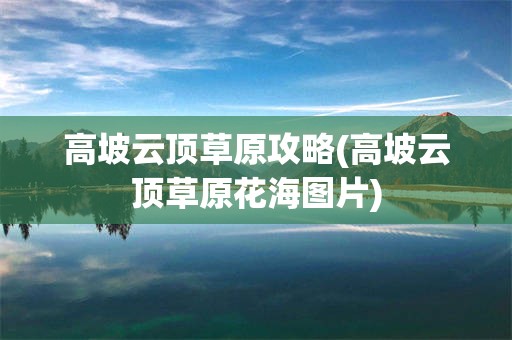 高坡云顶草原攻略(高坡云顶草原花海图片)