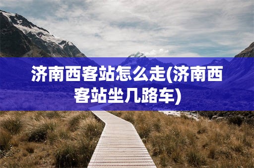 济南西客站怎么走(济南西客站坐几路车)