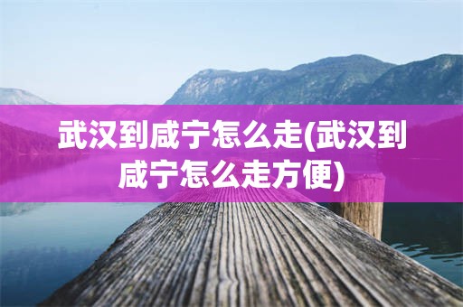 武汉到咸宁怎么走(武汉到咸宁怎么走方便)