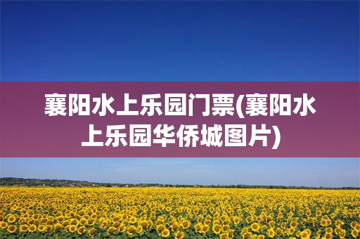襄阳水上乐园门票(襄阳水上乐园华侨城图片)