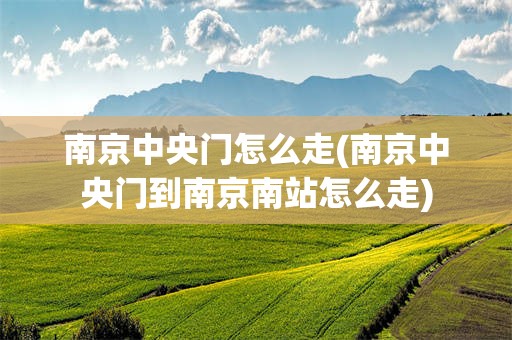 南京中央门怎么走(南京中央门到南京南站怎么走)