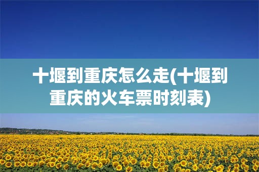 十堰到重庆怎么走(十堰到重庆的火车票时刻表)