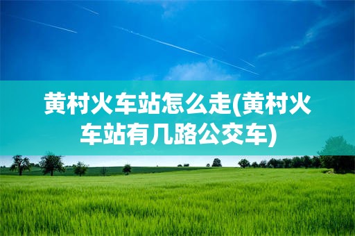黄村火车站怎么走(黄村火车站有几路公交车)