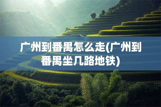 广州到番禺怎么走(广州到番禺坐几路地铁)