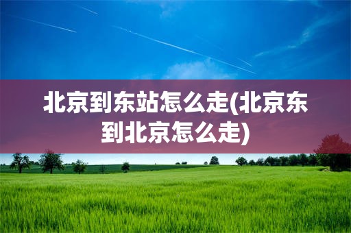 北京到东站怎么走(北京东到北京怎么走)