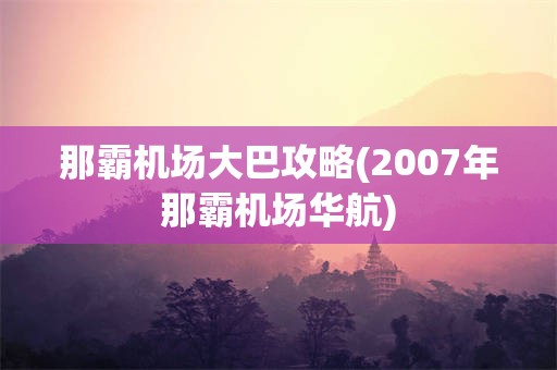 那霸机场大巴攻略(2007年那霸机场华航)